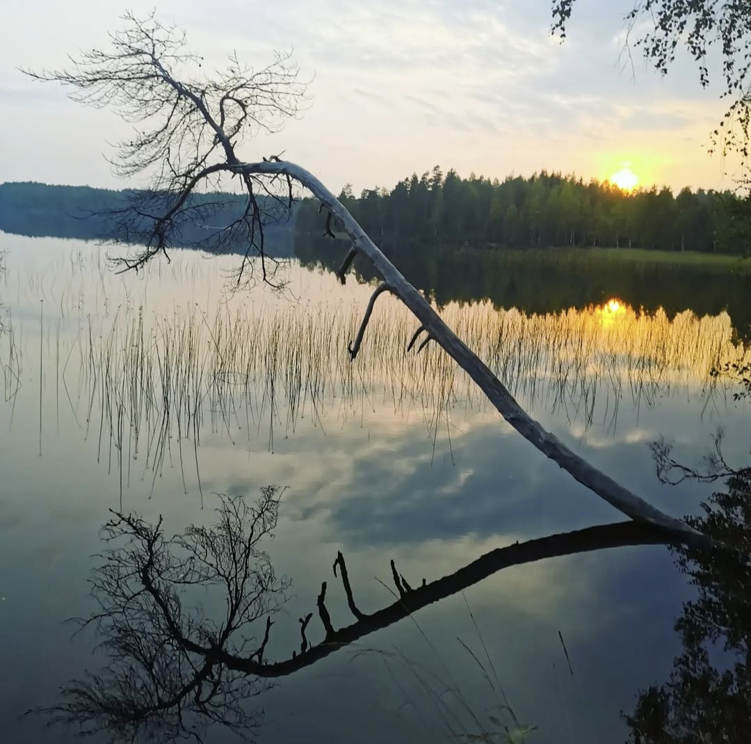 Etelä-Suomi tarvitsee tiedekansallispuiston Evolle